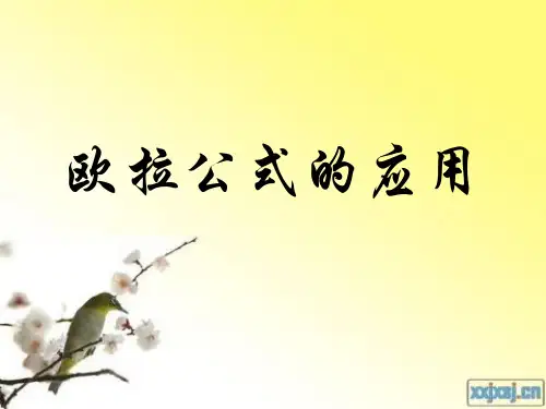 《欧拉公式的应用》PPT课件