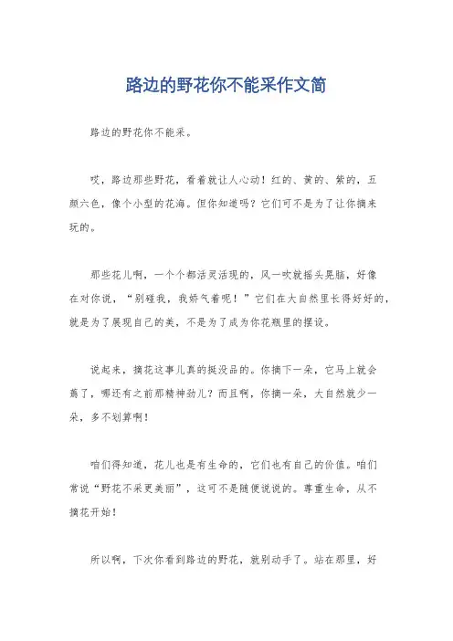 路边的野花你不能采作文简