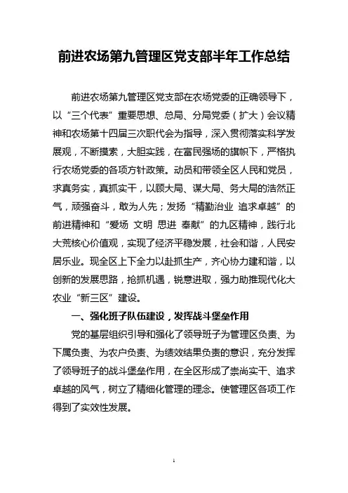 九区支部半年工作汇报