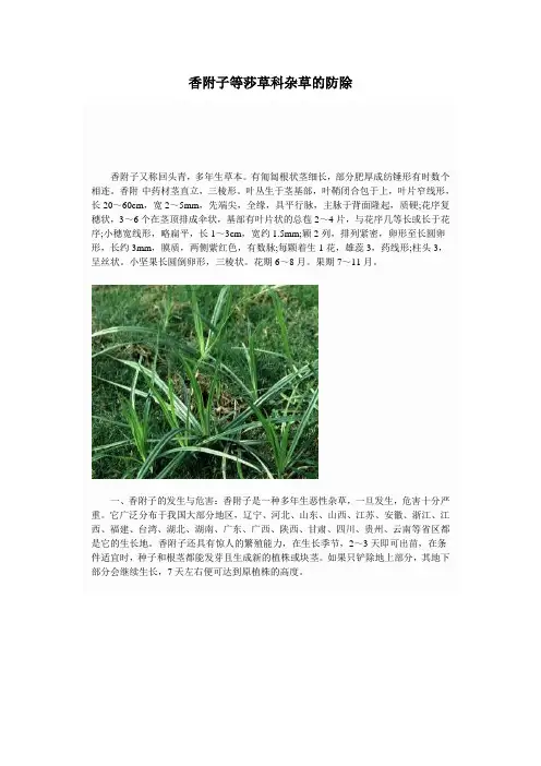 香附子等莎草科杂草的防除