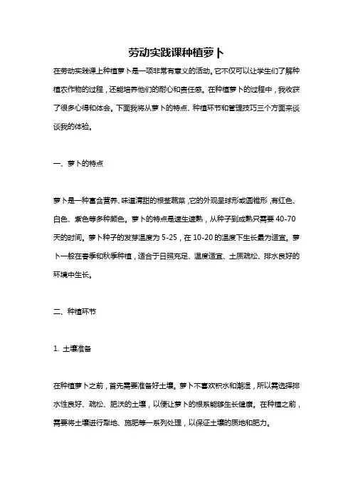 劳动实践课种植萝卜