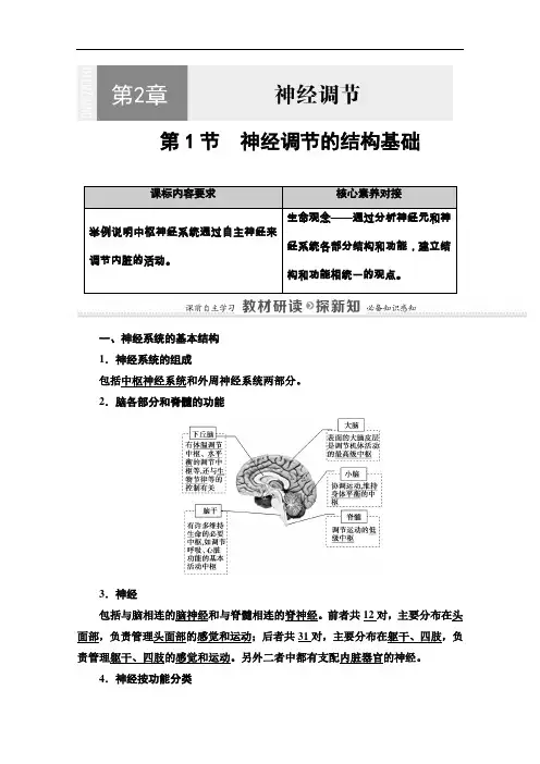 2020-2021学年生物新教材人教版选择性必修1学案：第2章第1节神经调节的结构基础含解析