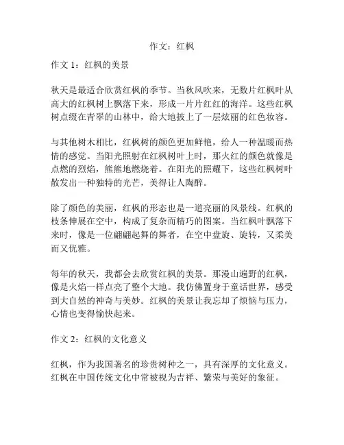 作文：红枫