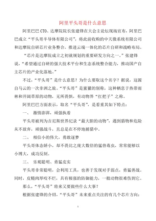 阿里平头哥是什么意思
