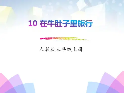 在牛肚子里旅行图文ppt课件