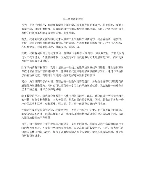 初二寒假规划数学