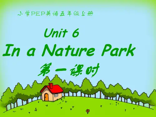 人教版五年级上册英语第六单元课件PPT