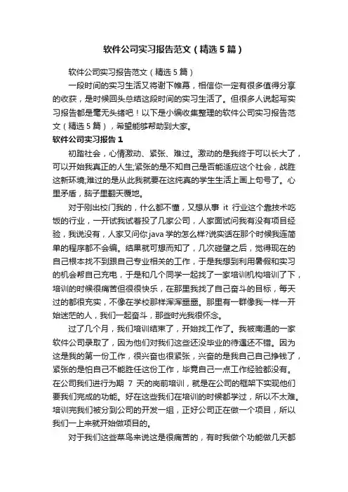 软件公司实习报告范文（精选5篇）
