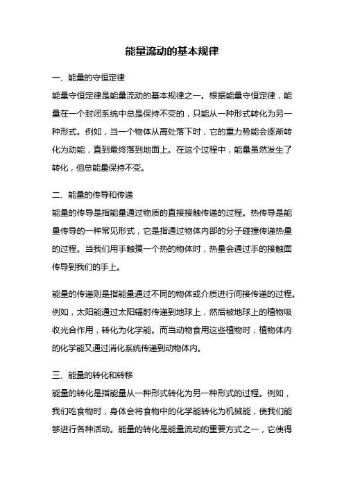 能量流动的基本规律