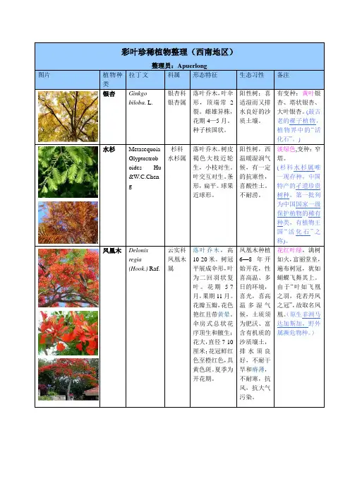 彩叶彩叶植物资源整理表(西南地区)