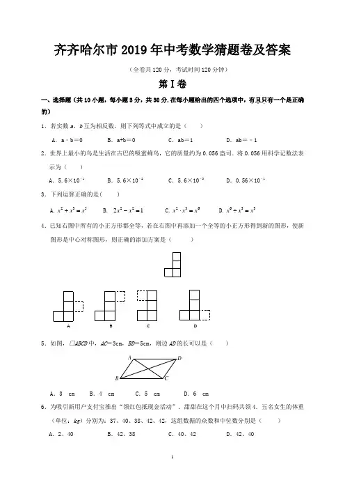 齐齐哈尔市2019年中考数学猜题卷及答案