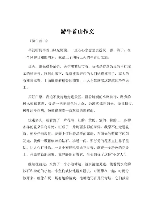 游牛首山作文