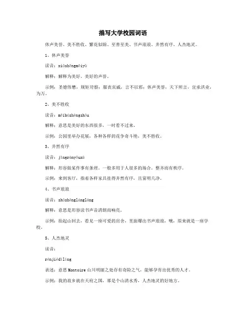 描写大学校园词语