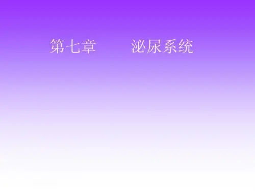 Unit 7 泌尿系统 医学英语