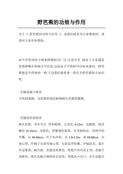 野芭蕉的功效与作用