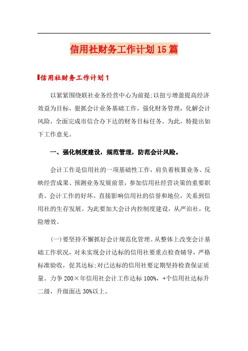 信用社财务工作计划15篇