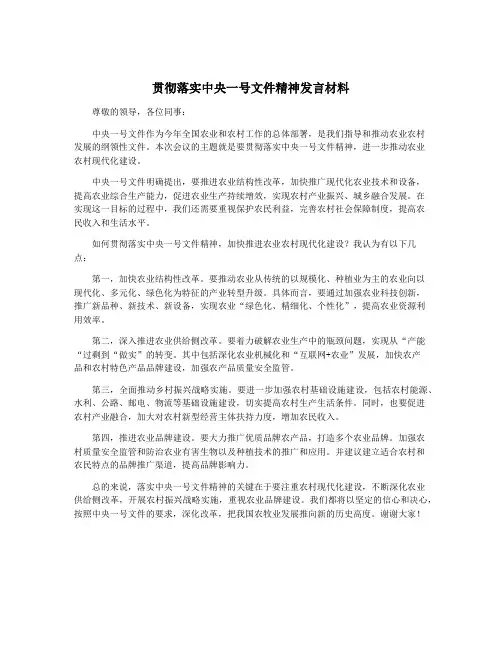 贯彻落实中央一号文件精神发言材料