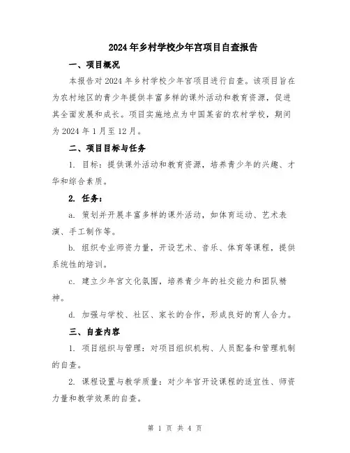 2024年乡村学校少年宫项目自查报告