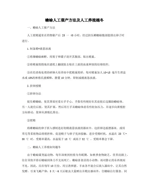 蟾蜍人工催产方法及人工养殖越冬