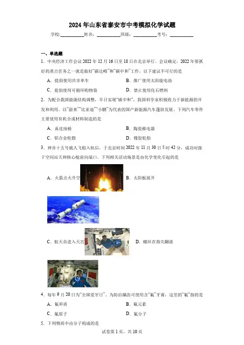 【中考压轴】2024年山东省泰安市中考模拟化学试题(附答案)