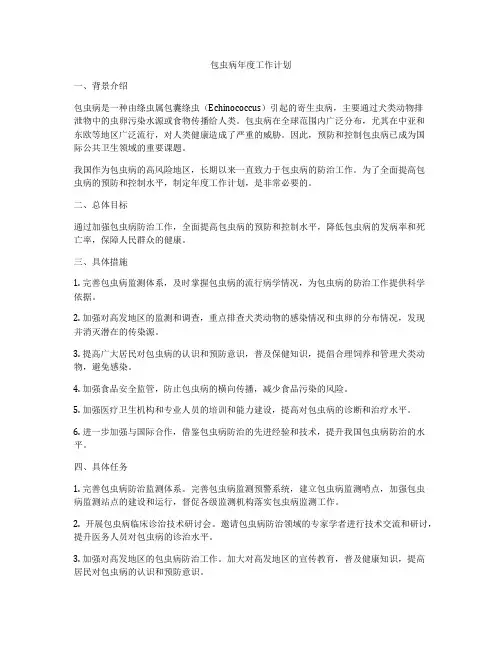 包虫病年度工作计划
