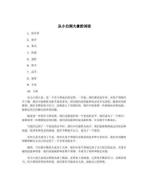 从小白到大拿的词语