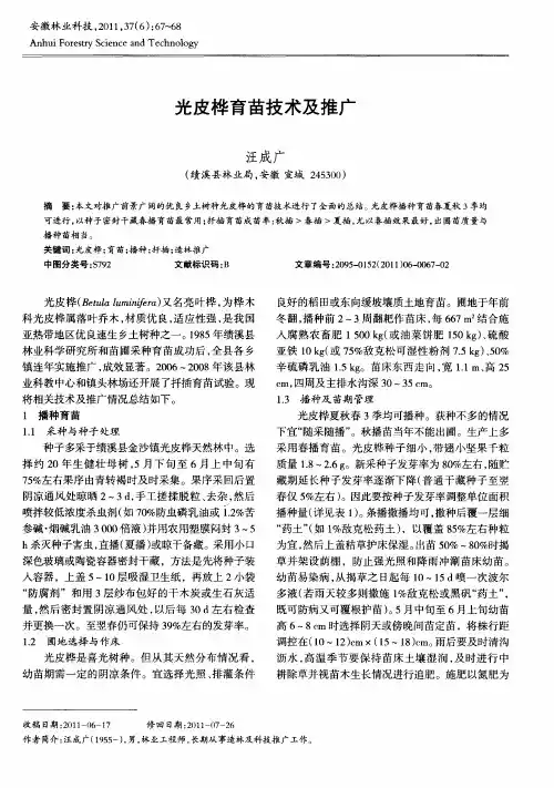光皮桦育苗技术及推广