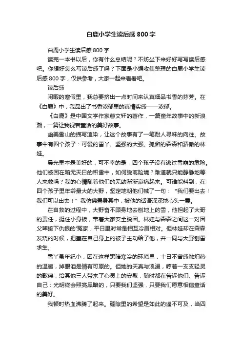 白鹿小学生读后感800字