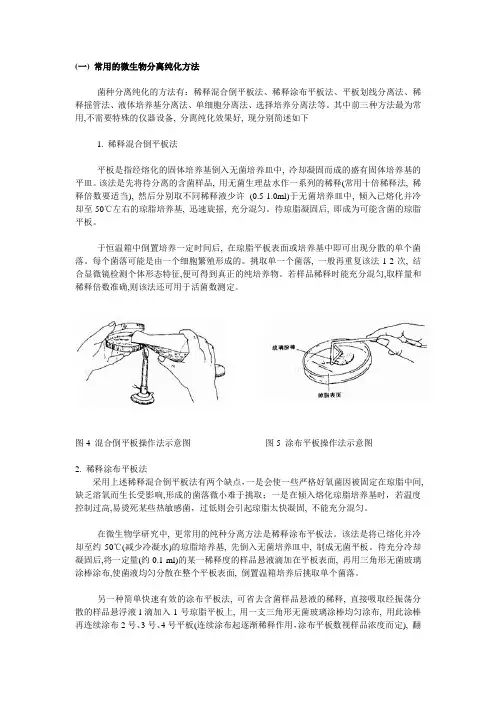 常用的微生物分离纯化方法