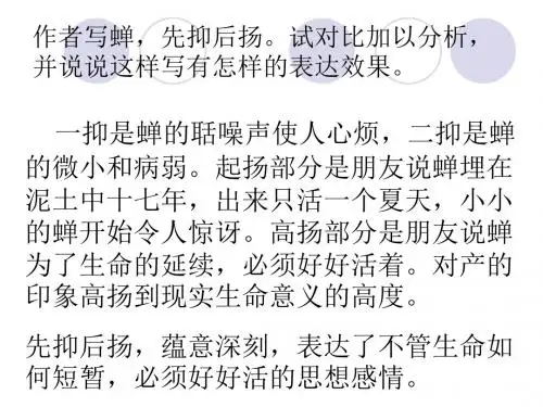 贝壳(席慕容)优秀PPT课件