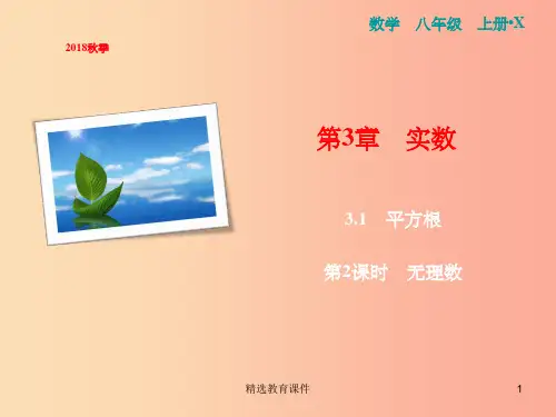 八年级数学上册 第3章 实数 3.1 平方根 第2课时 无理数课件 (新版)湘教版