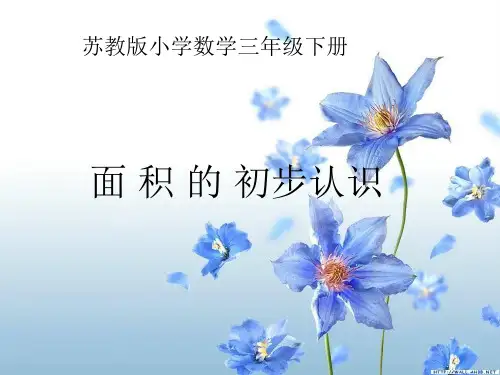 三年级数学下册课件认识面积苏教版1