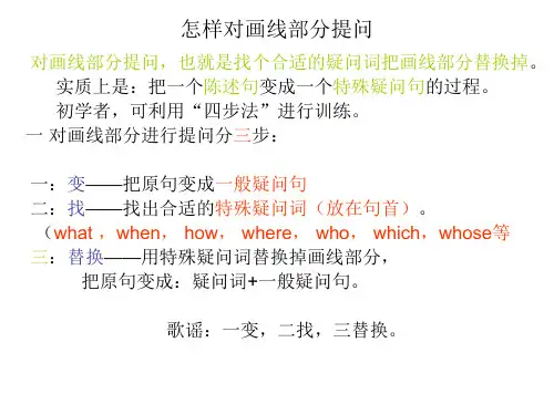 怎样对划线部分提问 (2)