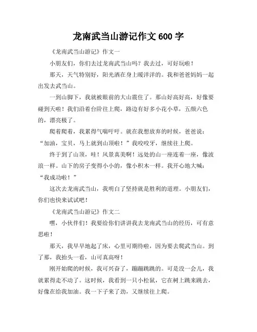 龙南武当山游记作文600字