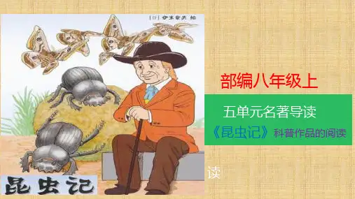 人教部编版初中语文八年级上册：名著导读《昆虫记》科普作品的阅读公开课课件