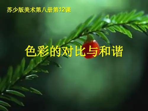 《色彩的对比与和谐》PPT课件 (共15张PPT)