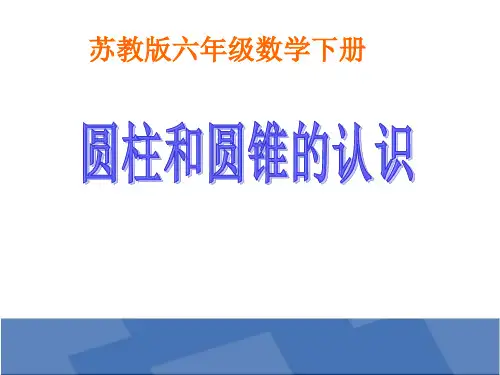 苏教版六年级数学下册《圆柱和圆锥的认识》课件