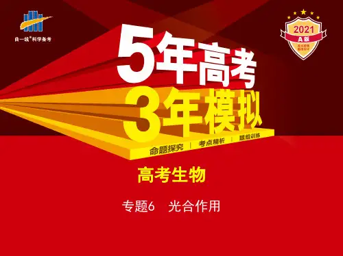 高中生物一轮复习专题6 光合作用(讲解部分)