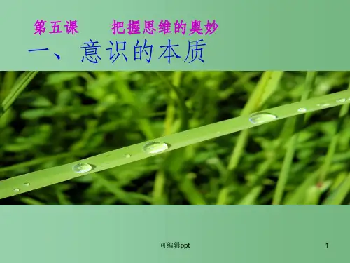 高中政治 第二单元 探索世界与追求真理 第五课 把握思维的奥妙精品(1) 新人教版必修3