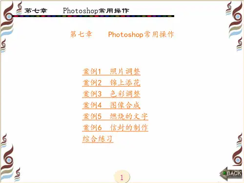 图形图像处理案例教程(李明志)章 (7)