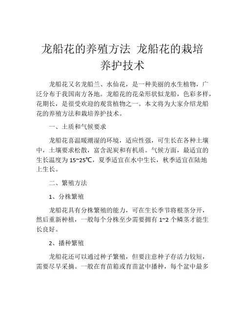 龙船花的养殖方法 龙船花的栽培养护技术