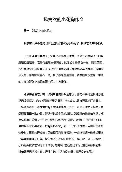 我喜欢的小花狗作文