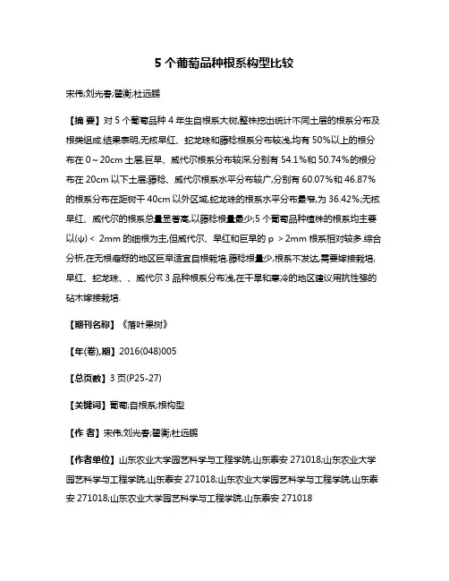 5个葡萄品种根系构型比较