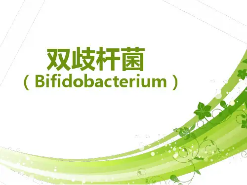 双歧杆菌(2)讲解