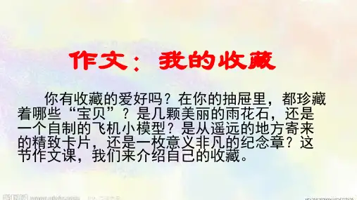 作文《我的收藏》