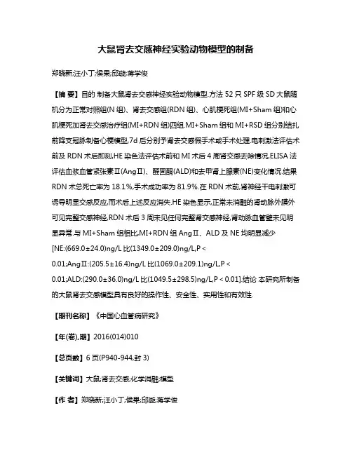 大鼠肾去交感神经实验动物模型的制备