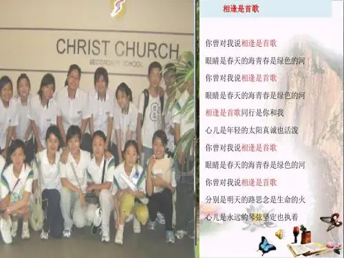 播种友情PPT优秀课件7 鲁教版(共17张)