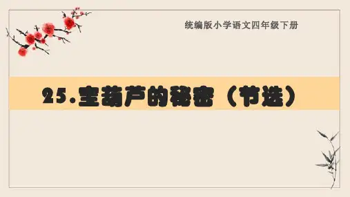 部编版四年级语文下册《25.宝葫芦的秘密(节选)》复习课件(知识清单)