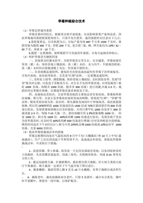 草莓种植综合技术