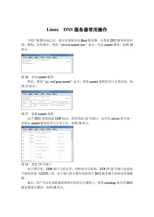 Linux  DNS服务器常用操作